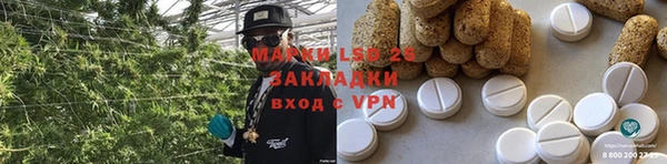 гидра Володарск
