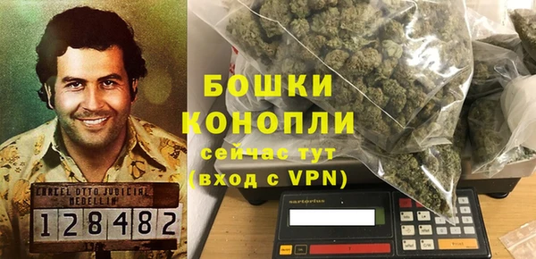 гидра Володарск