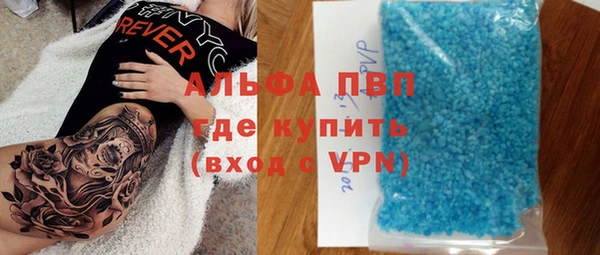 гидра Володарск